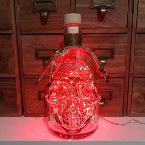 3D LED Pirate Skull Head Bottle Lamp Light